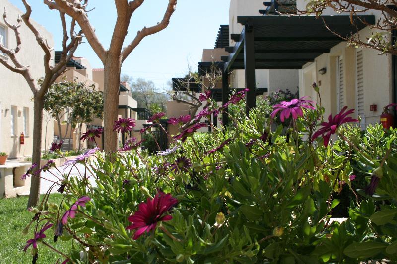 Grecotel Casa Adele Platanes  Dış mekan fotoğraf